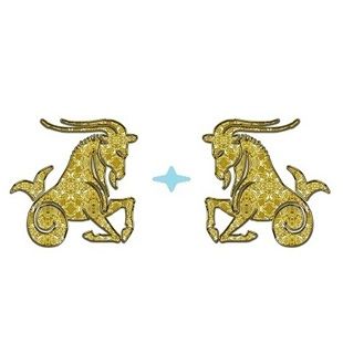 Совместимость Козерога и Козерога