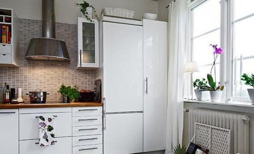 растения на кухне фото